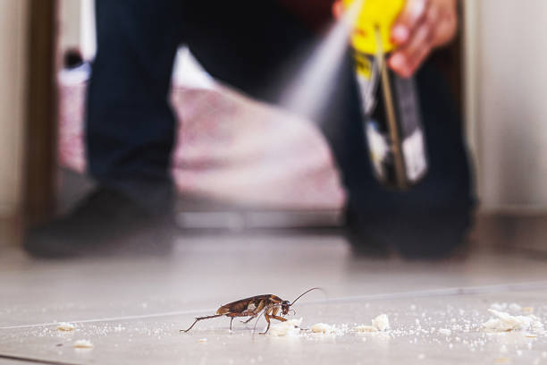 Best Residential Pest Control  in Madison, OH